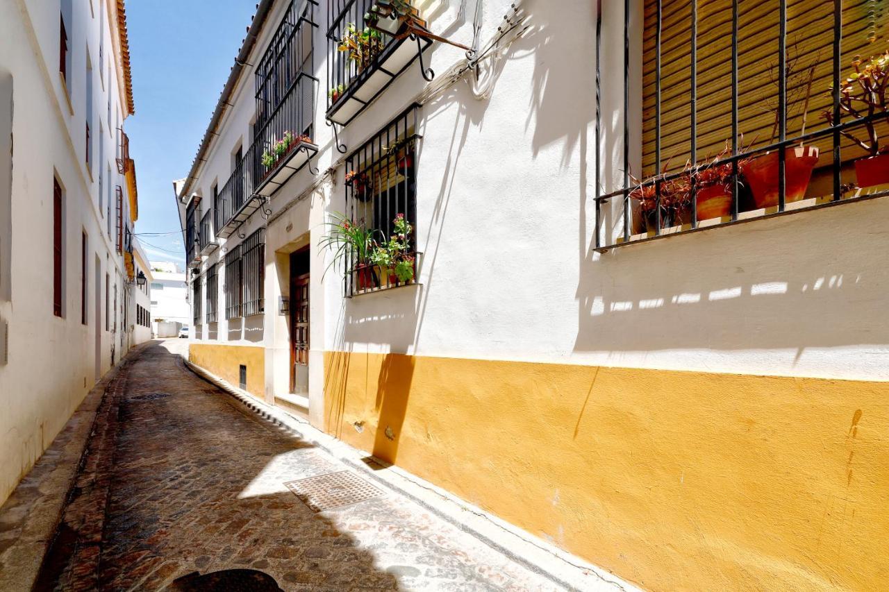 Tejon Y Marin, Nuevo En Casco Antigueo