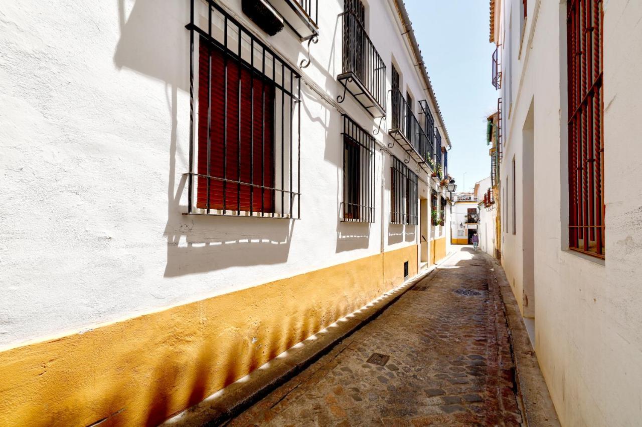 Tejon Y Marin, Nuevo En Casco Antigueo * Cordoba